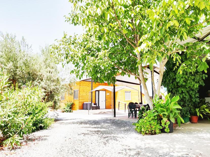 Villa Camino Del Palo Churriana de la Vega Buitenkant foto